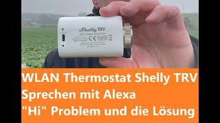 Shelly WLAN-Thermostat TRV, das „HI“-Problem und die Lösung - Sprachanwendung mit Alexa.