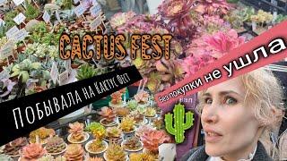 Посетила  Кактус фест в Москве. Cactus fest. Без покупки не ушла