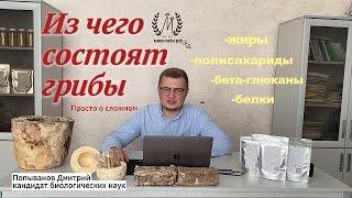 Состав грибов: что нужнее всего?