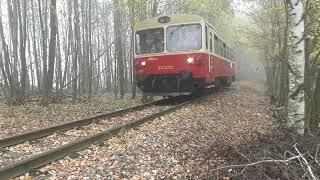 vlaky Královec - Žacléř 28.10.2024