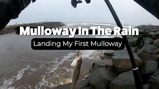 Fishing for Mulloway in the Rain | Much better than staying at home