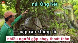 Nhiều người bỏ chạy thoát thân vì gặp cặp rắn khổng lồ núi Ông Két  Thất Sơn mầu nhiệm