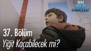 Yiğit, Vedat'ın elinden kaçabilecek mi? - Sen Anlat Karadeniz 37. Bölüm