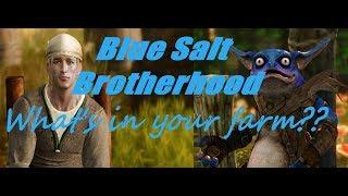 Blue Salt Brotherhood Part 2