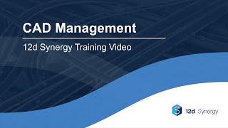 12d Synergy Training Video: CAD Management