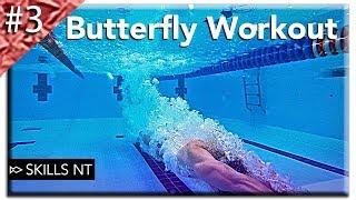 Butterfly swimming workout #3. Beginner fly technique