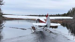 Adirondack buck on a float plane