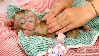 Very Comfortable!, Monkey Puka Loves to have a Relaxing Massage