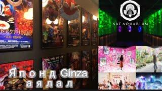 Японд Ginza city Vlog part 8(Art aquarium museum,Naked flowers)
