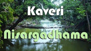 Kaveri Nisargadhama - Coorg tourism | ಕಾವೇರಿ ನಿಸರ್ಗಧಾಮ | Steps Together