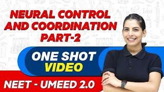 NEURAL CONTROL AND COORDINATION in 1 Shot (Part - 2) : All Concepts & PYQs | UMEED 2.0