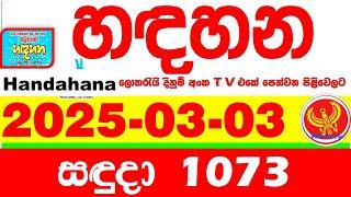 Handahana 1073 2025.03.03 Today NLB Lottery Result අද හඳහන දිනුම් ප්‍රතිඵල අංක Lotherai 1073 hadahan