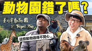 帶野生動物專家逛台北市立動物園! 肯亞導遊對我們動物園的真實評價是...?