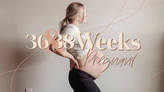 36 & 38 WEEK PREGNANCY UPDATE // LAST UPDATE // CHIROPRACTIC VISIT, SWELLING, PREECLAMPSIA