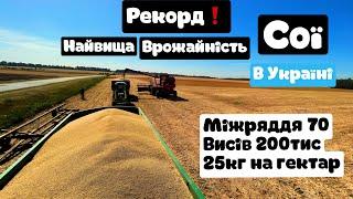 Сказать що я вражений?це нічого не сказать.МУСТАНГ шокував врожайністю