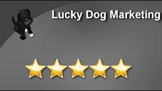 Lucky Dog Marketing Arlington Terrific Five Star Review by Derrick Kakar - First American Carpe...