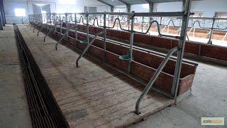 Размеры стойла для коров!! Size of a stable for cows!!