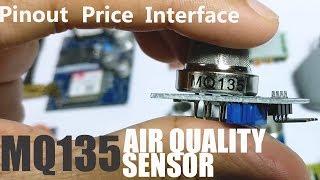 MQ 135 Air Quality Pollution Sensor Working Pinout Price & Projects