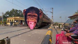 Dangerous chimpanzee Headed Intercity Express Furious Moving Throughout at Railgate