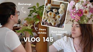 Bouturage pothos, fleurs séchées et fleurs coupées & sommeil de bébé - VLOG 145