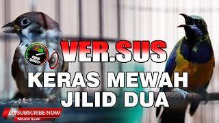 MASTERAN MURAI DAN CUCAK IJO SPESIAL KERAS PANJANG SIMPEL MEWAH ISTIMEWA KOMPILASI GEREJA VS CUNGKOK