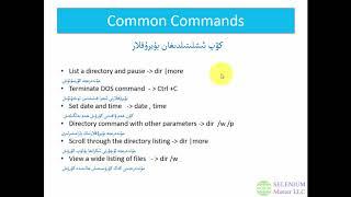 #UyghurSchool #DOS - Common DOS Commands