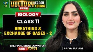 VICTORY Free Crash Course: Breathing And Exchange of Gases | P 2 | NEET 2025 Biology | Priya Pandey