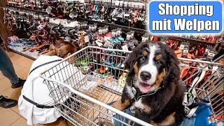 Einkaufen mit Welpen  Shopping Haul für Mochi! Erstausstattung Hund | Mamiseelen