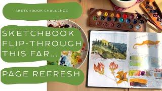 Sketchbook Flip through, page refresh.  Sketchbook Challenge 2023, watercolor