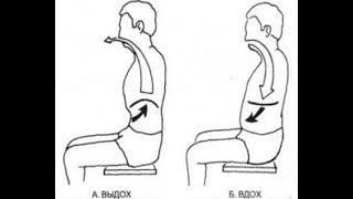 Диафрагмальное дыхание. Дышать животом или грудью?