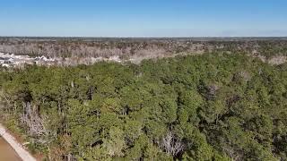 12 Acres of Unrestricted Residential Land for Sale in Pender County, NC!