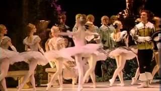 ARCHIVIO IEM P.I. Tchaikovsky , The Sleeping Beauty Op 66 (Mariinsky Orchestra and Ballet)