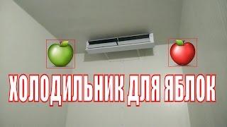 Холодильные камеры для хранения яблок.