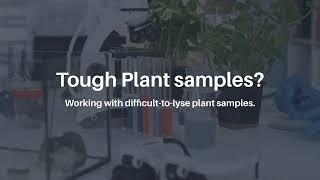 Best Practices: Tips for Lysing the Toughest Plant Samples [MP Biomedicals]