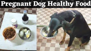 Pregnant Dog Healthy Diet | Doberman and Chippiparai Healthy Diet | Caring of Pregnant Dog | தமிழ்