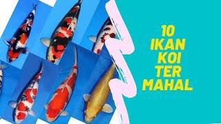 10 ikan koi termahal Harga 26 Miliar!!