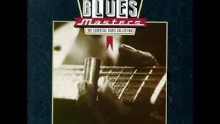 Blues Masters 15 - Slide Guitar Classics [Full Album]