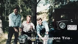 Bjørnar Haugens Trio - The Last Farewell