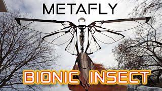 METAFLY - The Bionic Insect - Review