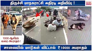 சாலையில் மாடுகளை விட்டால் 10 ஆயிரம் அபராதம் | Trichy 360 News