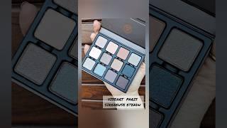 VISEART SIRENEUSE ETENDU: daylight swatches #eyeshadow #palette #swatches #shorts #viseart #new #fyp