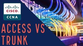 Cisco CCNA VLAN Access vs Trunk