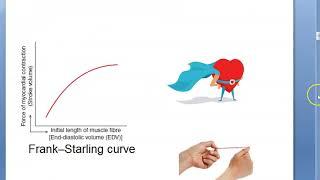 Medicine 485 b Heart failure CLINICAL FEATURES Cardiac Congestive CCF