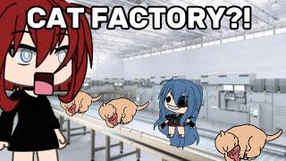 Cat factory #gacha #akps #funny