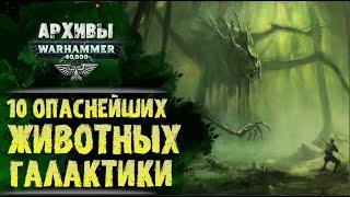 Опаснейшие существа галактики Warhammer 40000