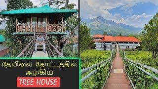 My Dream TREE HOUSE  in MUNNAR | Tamil Selvan VLOG #34