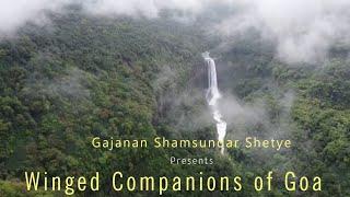 Winged  Companions of Goa || Gajanan Shetye || VEAB GOA