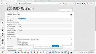4-Follow Up Video For WebRTC Leak Shield Extension