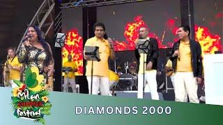 Muziekformatie Diamonds 2000 | 40 jaar Milan Festival 2024