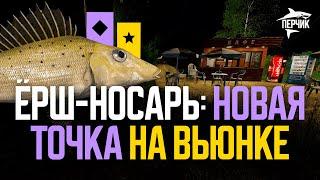 Новая точка: ёрш-носарь на реке Вьюнок ● Русская рыбалка 4 ● Перчик РР4